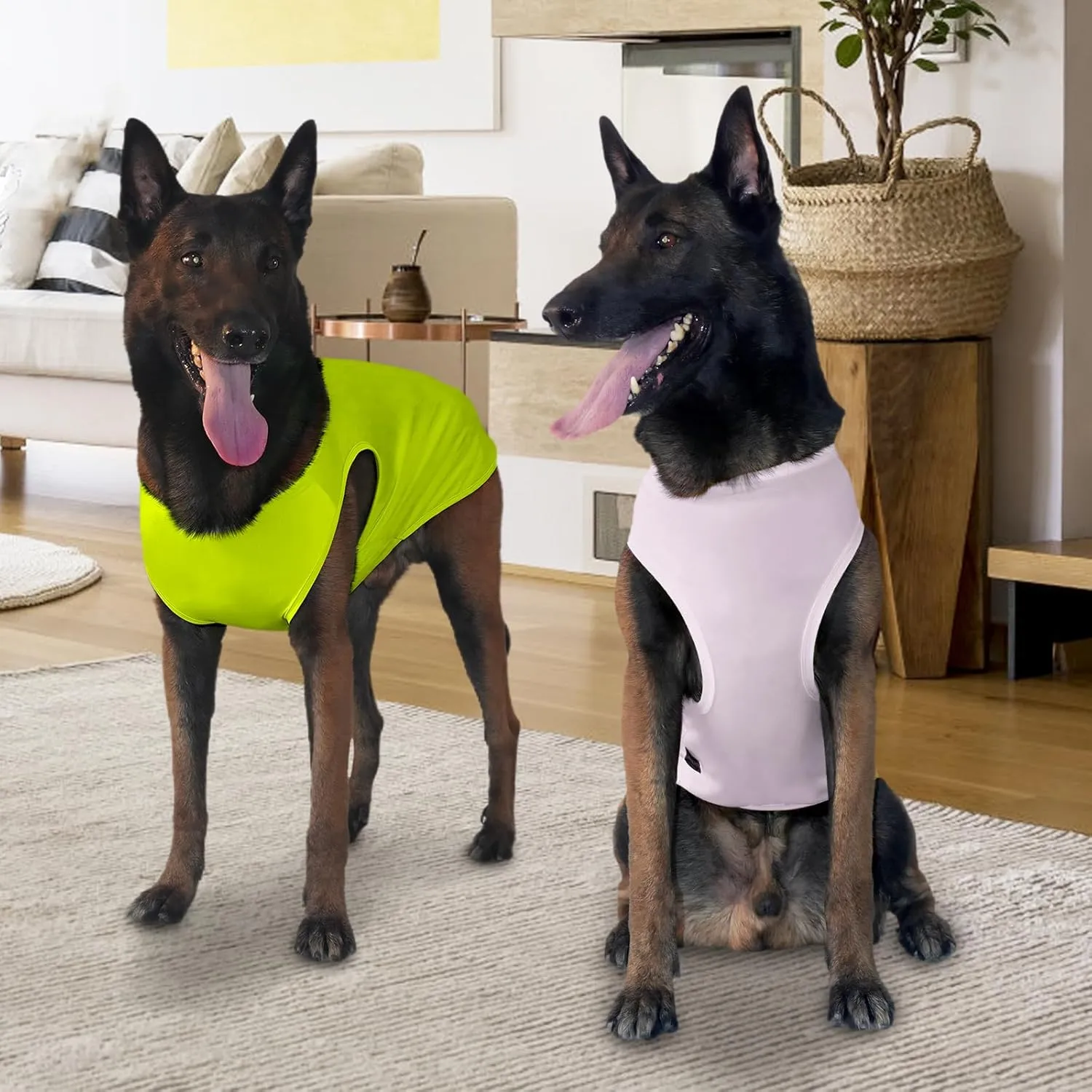 2 Pack Dog Shirts, Ice Pet Vest Dog Clothes for Instant Cooling, Lightweight Breathable Sleeveless T-Shirts for Medium Large Dogs, Light Purple Fluorescent Green (M)