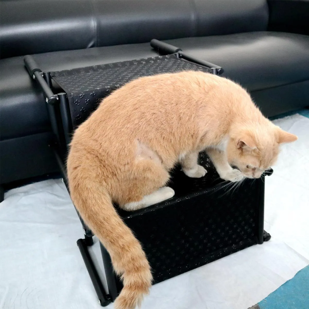 2 Steps Dog Ramp Pet Ladder Foldable Car Travel Height Stair for Pets Access