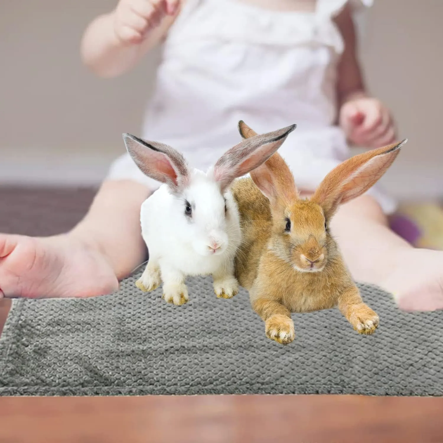 3 Pack Guinea Pig Blankets Hamster Flannel Bunny Blanket Cage Liners Small Pet Fleece Sleep Blankets Bedding Mats Bath Towels for Hamster Guinea Pig Rabbit Kitten Chinchilla Hedgehog (M, 3 Pack)