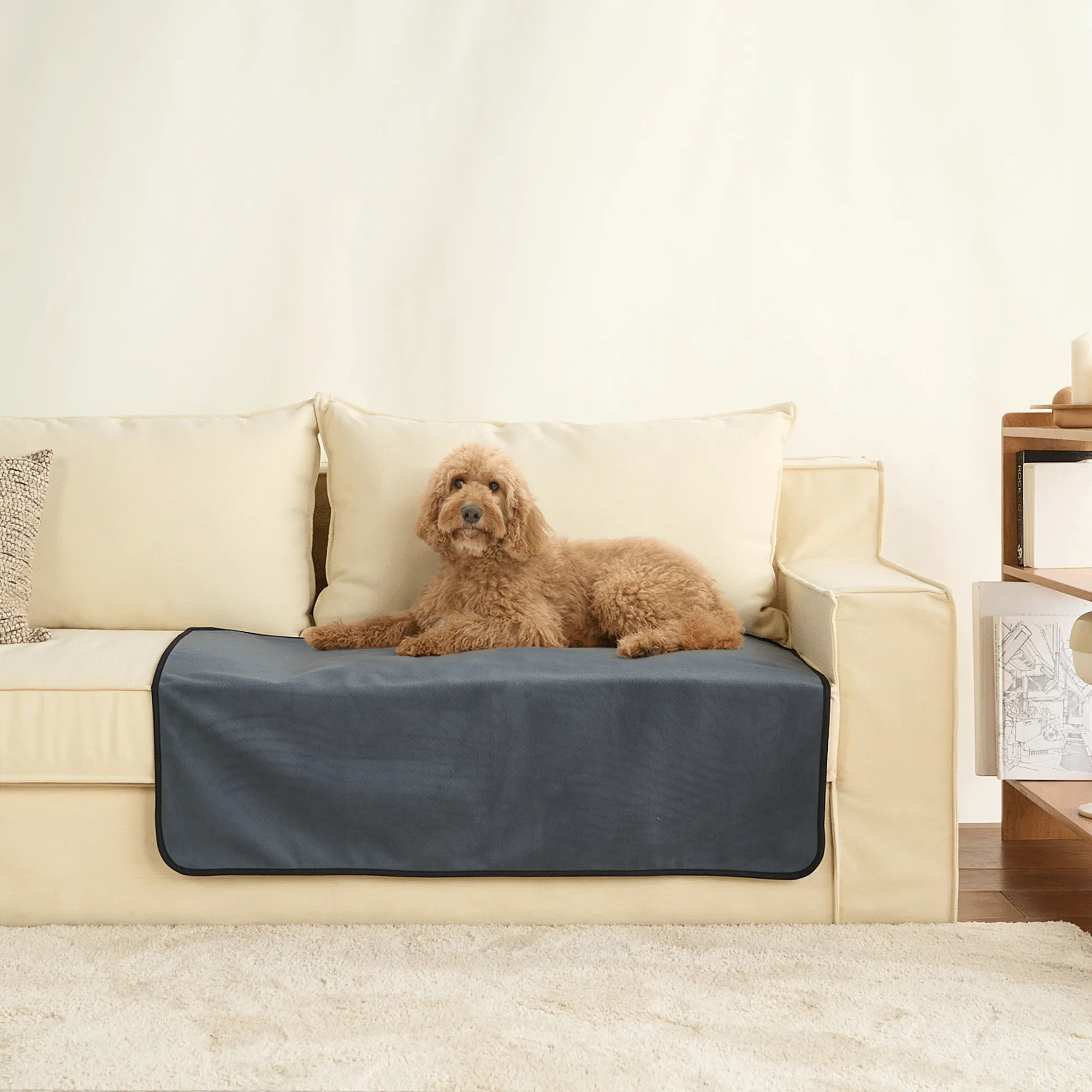 Absorb Ease Dog & Cat Bad - Final Sale