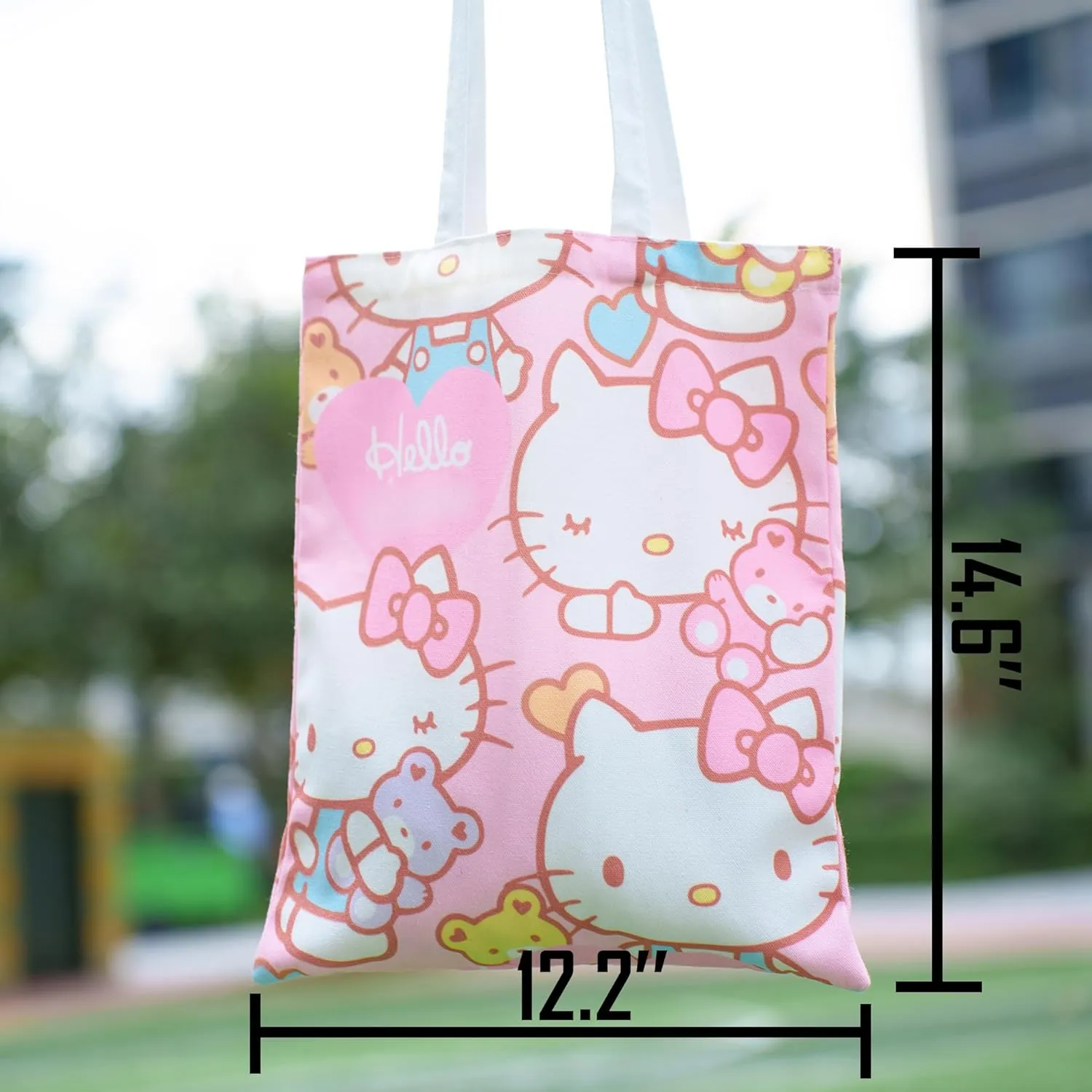 Aesthetic Canvas Tote Bag Cute Reusable Cotton Cloth Crossbody Bag Handbag Work Shopping Gym Kitchen