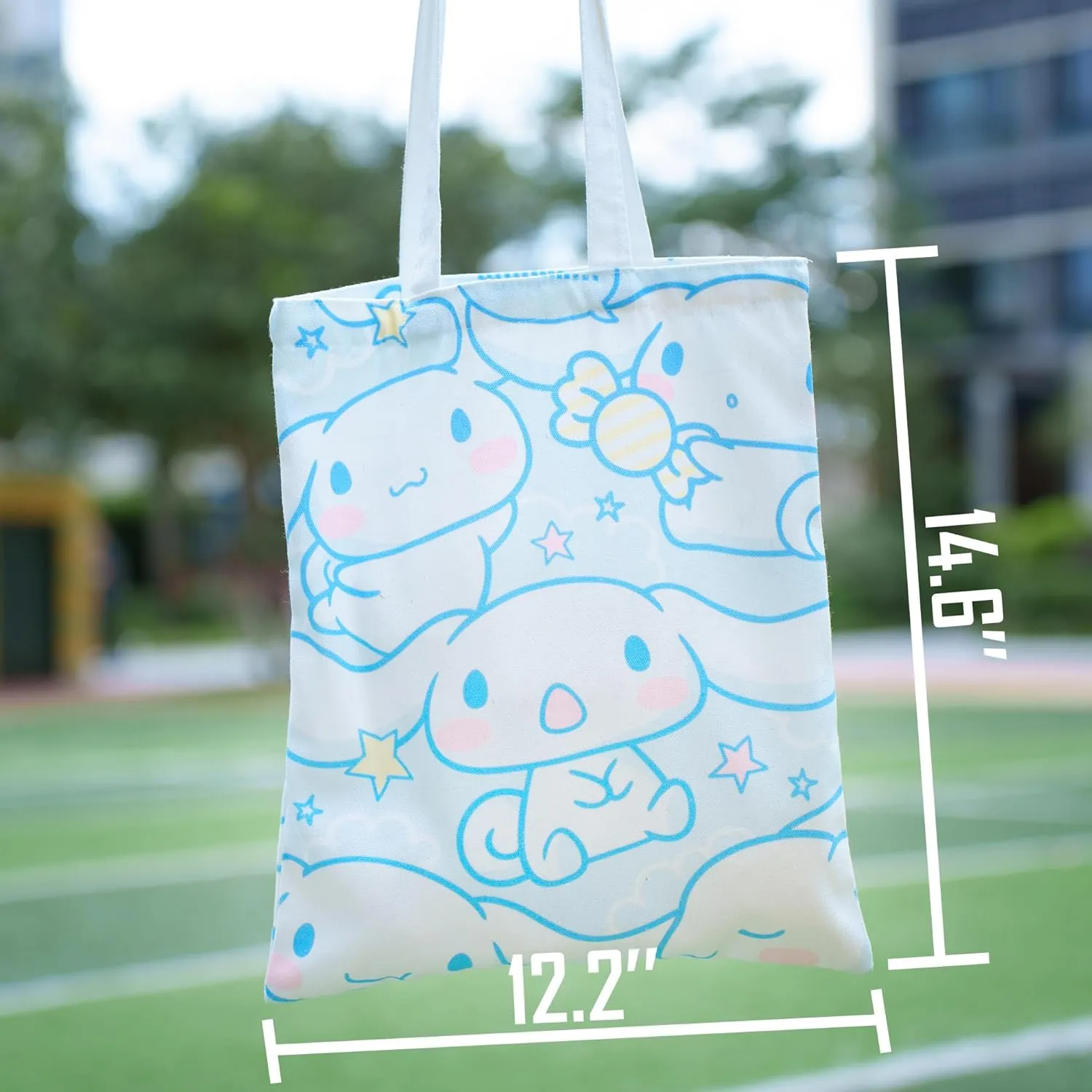 Aesthetic Canvas Tote Bag Cute Reusable Cotton Cloth Crossbody Bag Handbag Work Shopping Gym Kitchen