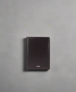 Analyst Passport Holder 221 | Brown