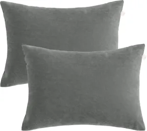 bedsum 2 Pack Toddler Pillows, 13''x18'' Microfiber Baby Pillows for Toddler, Travel, Pets, Soft & Machine Washable Small Pillows w/ Excellent Resilience for Neck, Wrist, & Knee Support, Dark Grey