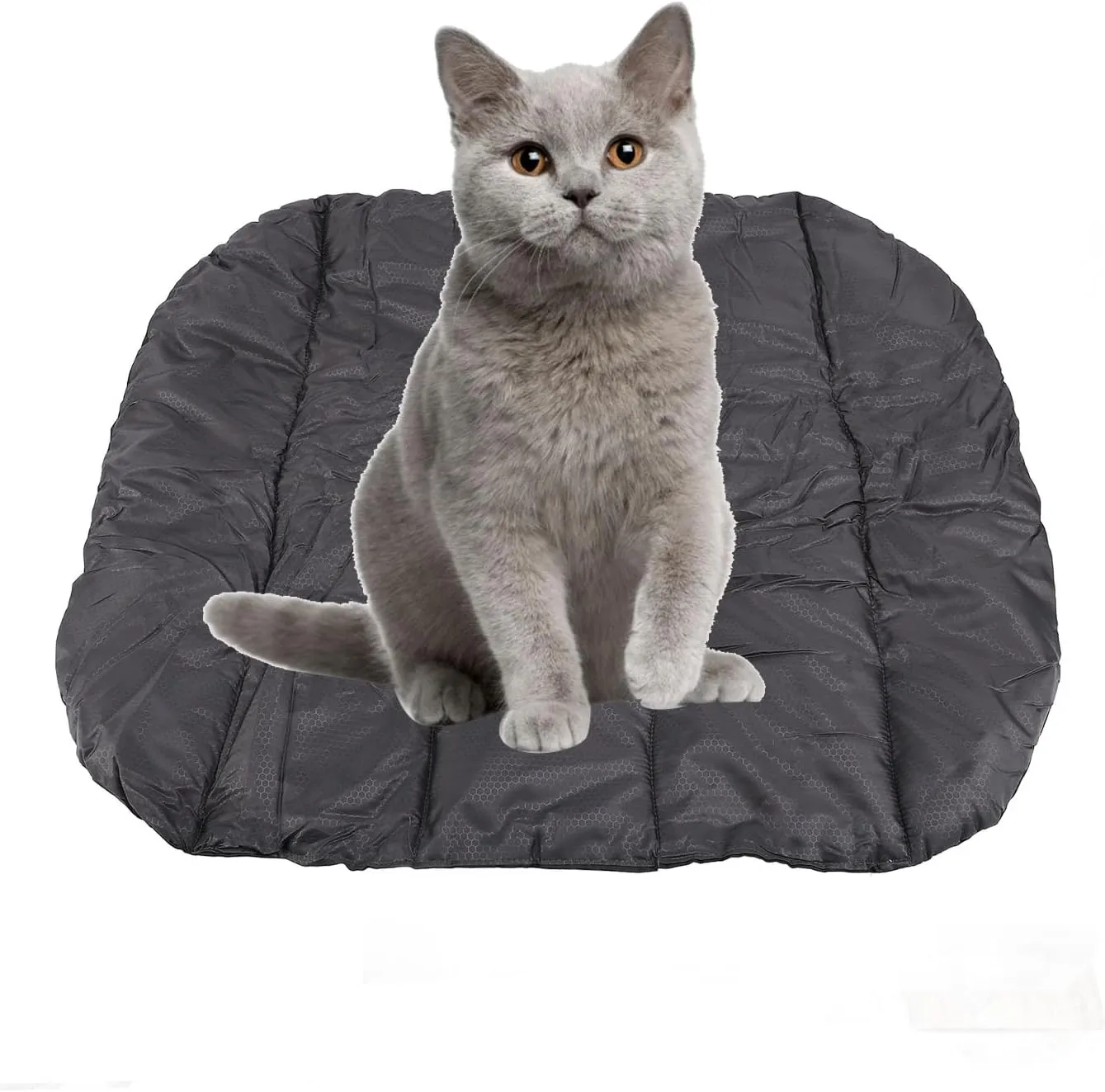 CDQL Outdoor Dog Bed, Wateright, Foldable, Portable Pet Sleeping Mat, Practicality, Easy to Cleanse Pet Ma twith Storage Bag for Camping, Travel (S(for Ponies Under 1.3 Meters