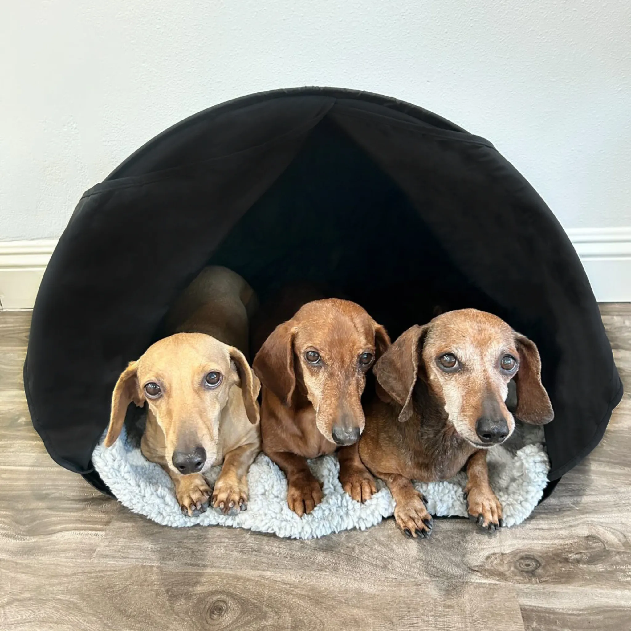 Cozy Calming Small Pet Den
