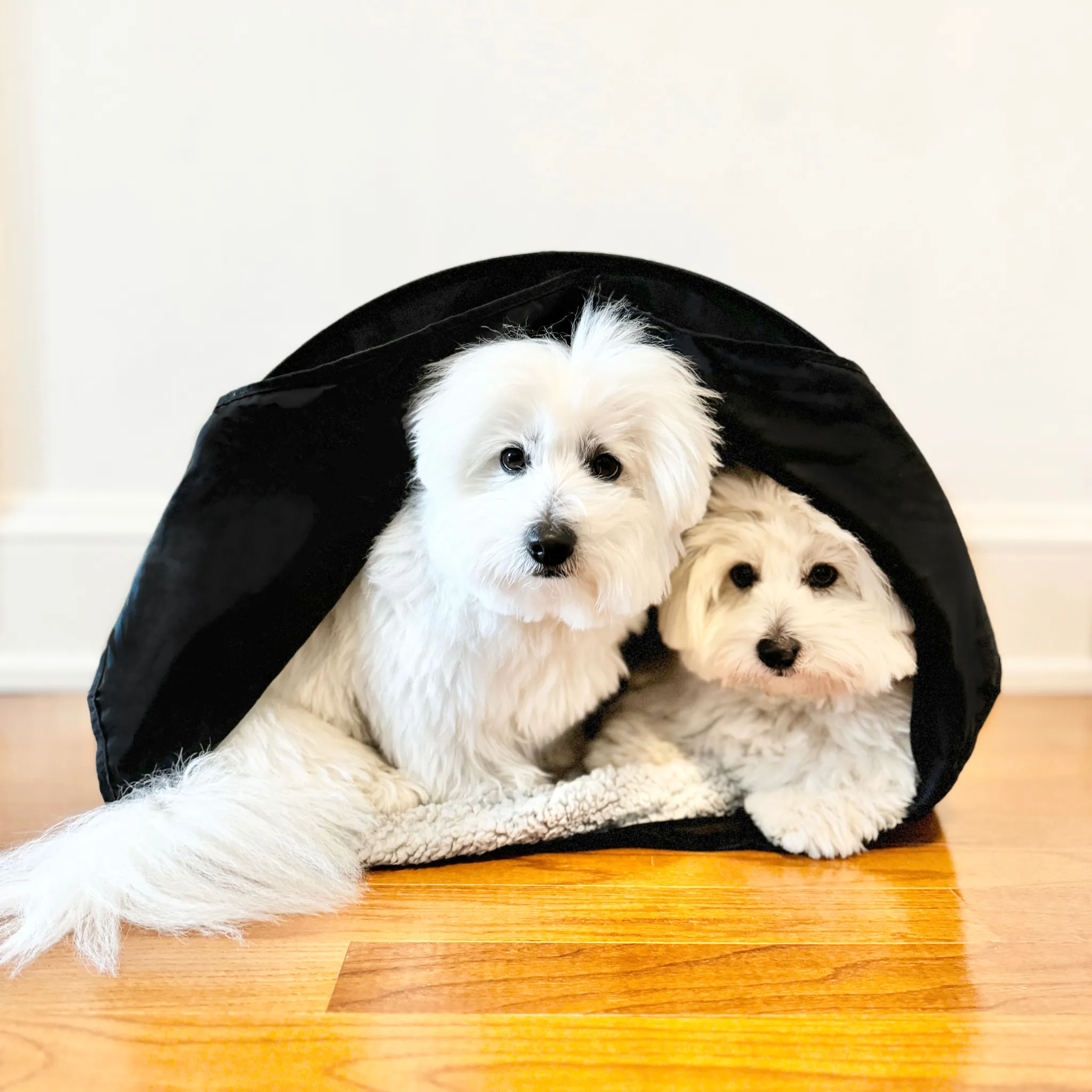 Cozy Calming Small Pet Den