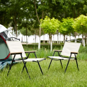 Dolonm 2-Piece Folding Outdoor Chair for Indoor, Outdoor Camping, Picnics, Beach,Backyard, BBQ, Party, Patio, Beige