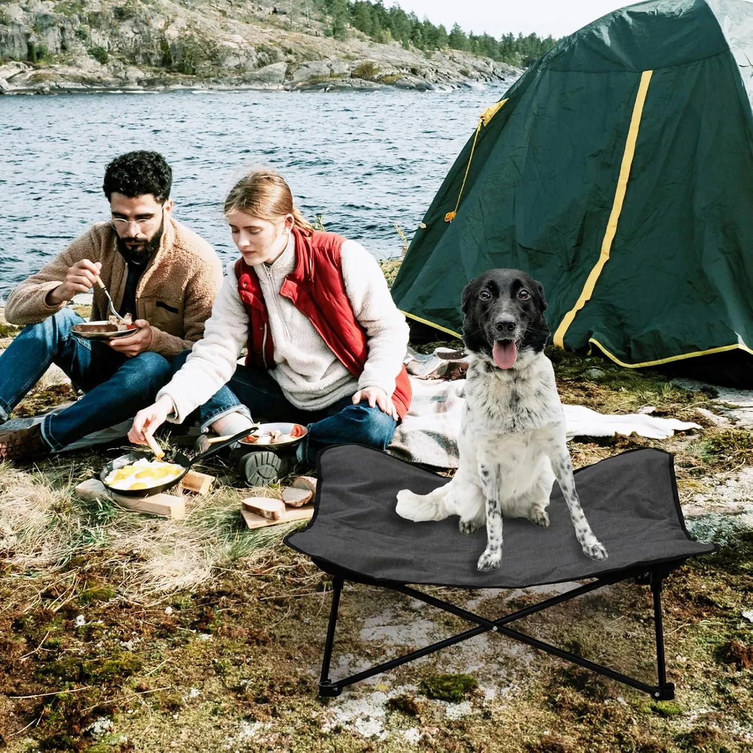 Elevated Dog Bed, Portable Raised Pet Cot for Outdoor and Indoor Folding Dog Cot Bed with Padded Filling Carrying Bag Included Pet Raised Travel Lounger for Camping Traveling (36x36x12inch)