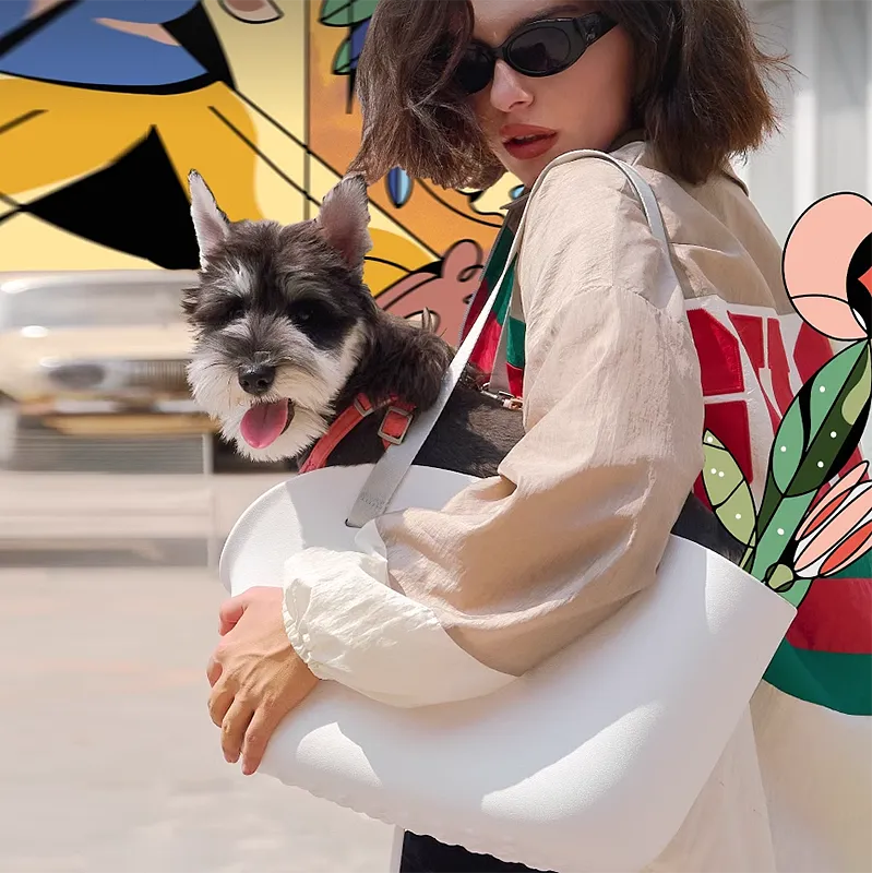 Fashion Outdoor Breathable Small Pet Carrier Bag