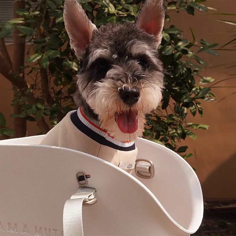 Fashion Outdoor Breathable Small Pet Carrier Bag