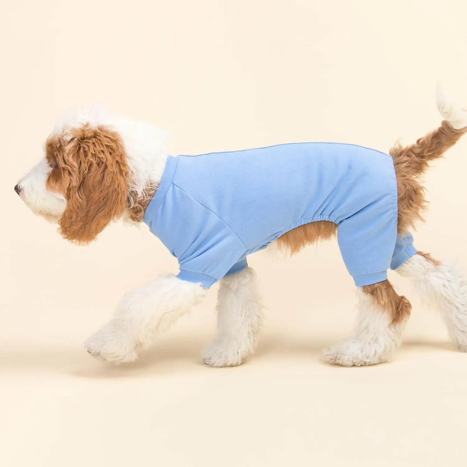 Fitwarm 2 Pack Lightweight Fleece Dog Pajamas, Warm Winter Dog Clothes for Small Dogs Boy Girl, Fuzzy Pet Onesie with Feet, Light Sky Blue, Turquoise, XL