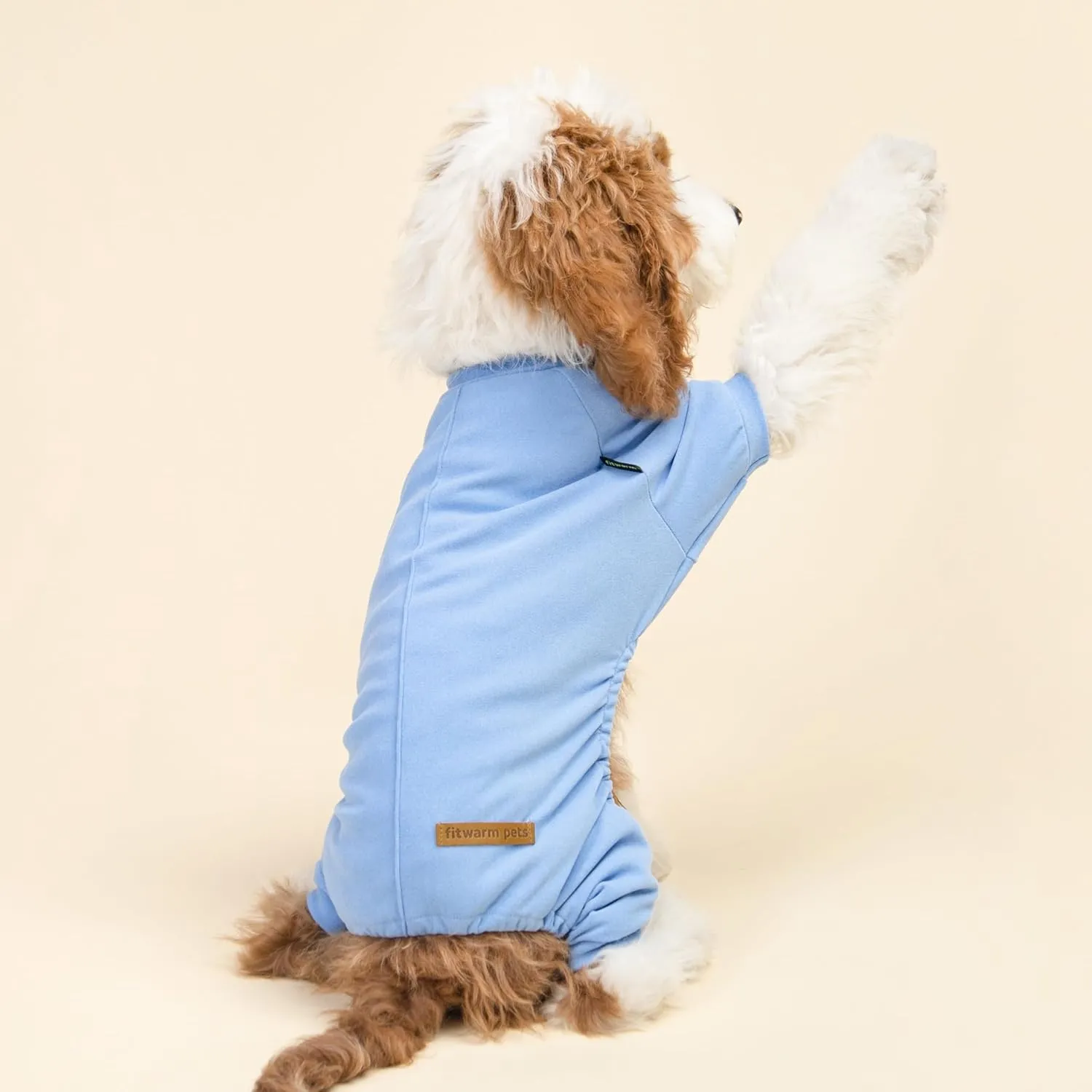 Fitwarm 2 Pack Lightweight Fleece Dog Pajamas, Warm Winter Dog Clothes for Small Dogs Boy Girl, Fuzzy Pet Onesie with Feet, Light Sky Blue, Turquoise, XL