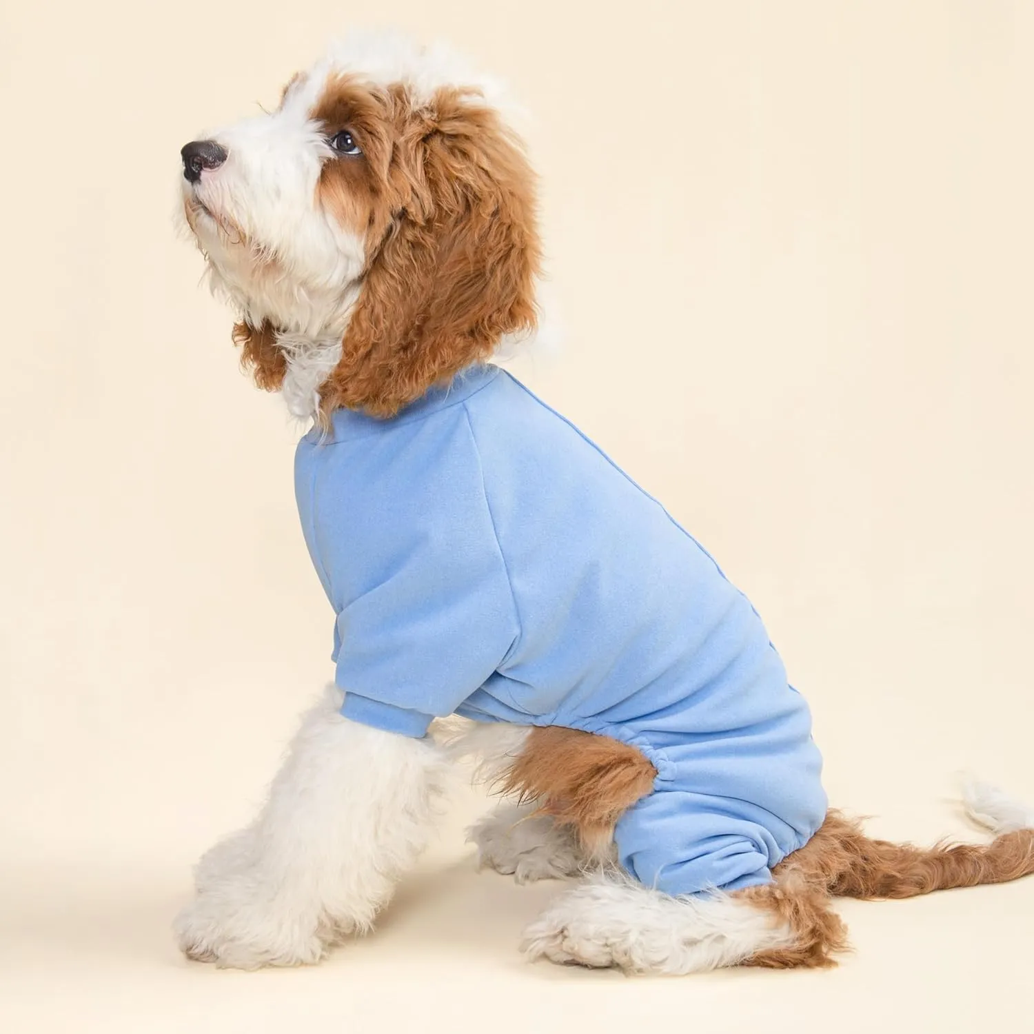Fitwarm 2 Pack Lightweight Fleece Dog Pajamas, Warm Winter Dog Clothes for Small Dogs Boy Girl, Fuzzy Pet Onesie with Feet, Light Sky Blue, Turquoise, XL