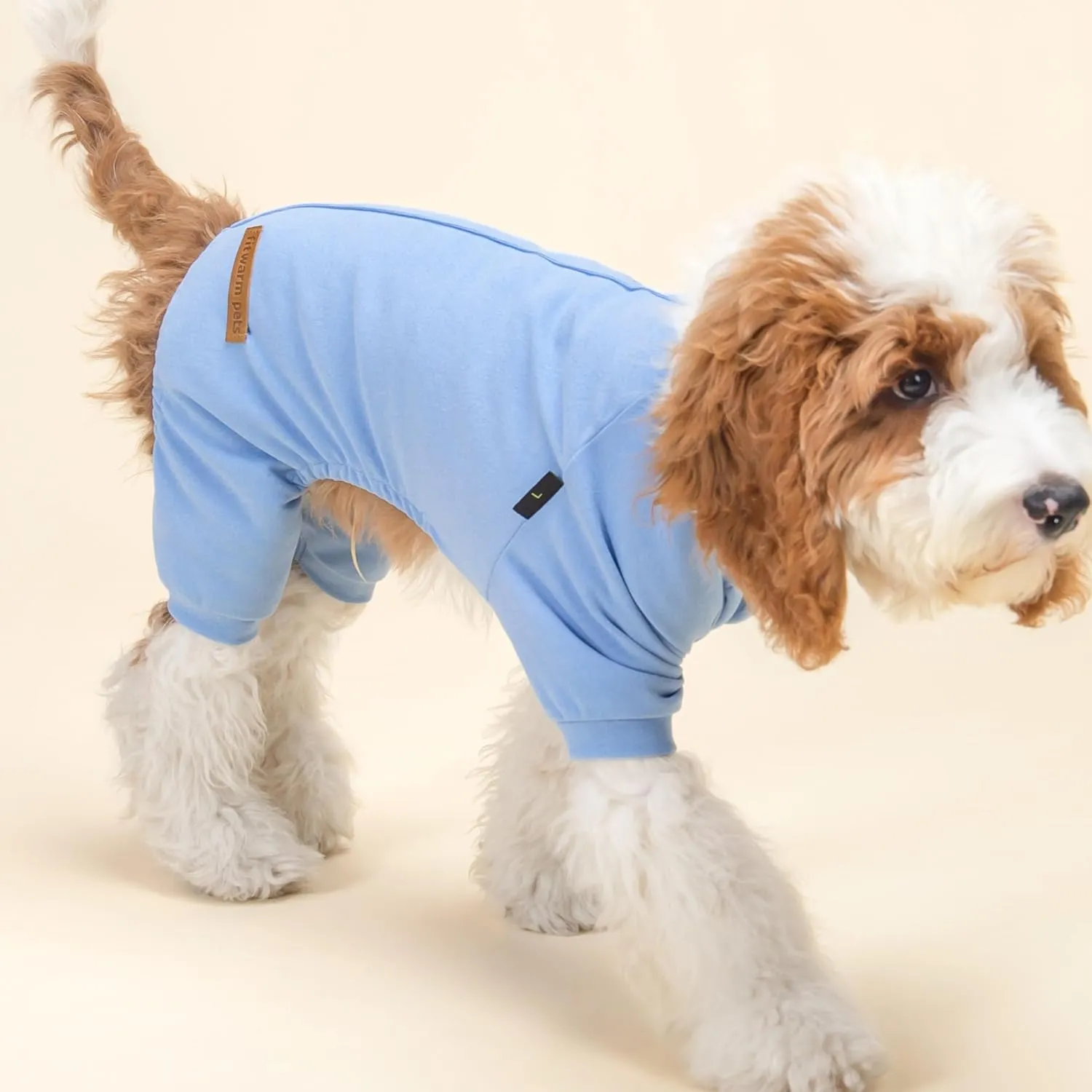 Fitwarm 2 Pack Lightweight Fleece Dog Pajamas, Warm Winter Dog Clothes for Small Dogs Boy Girl, Fuzzy Pet Onesie with Feet, Light Sky Blue, Turquoise, XL