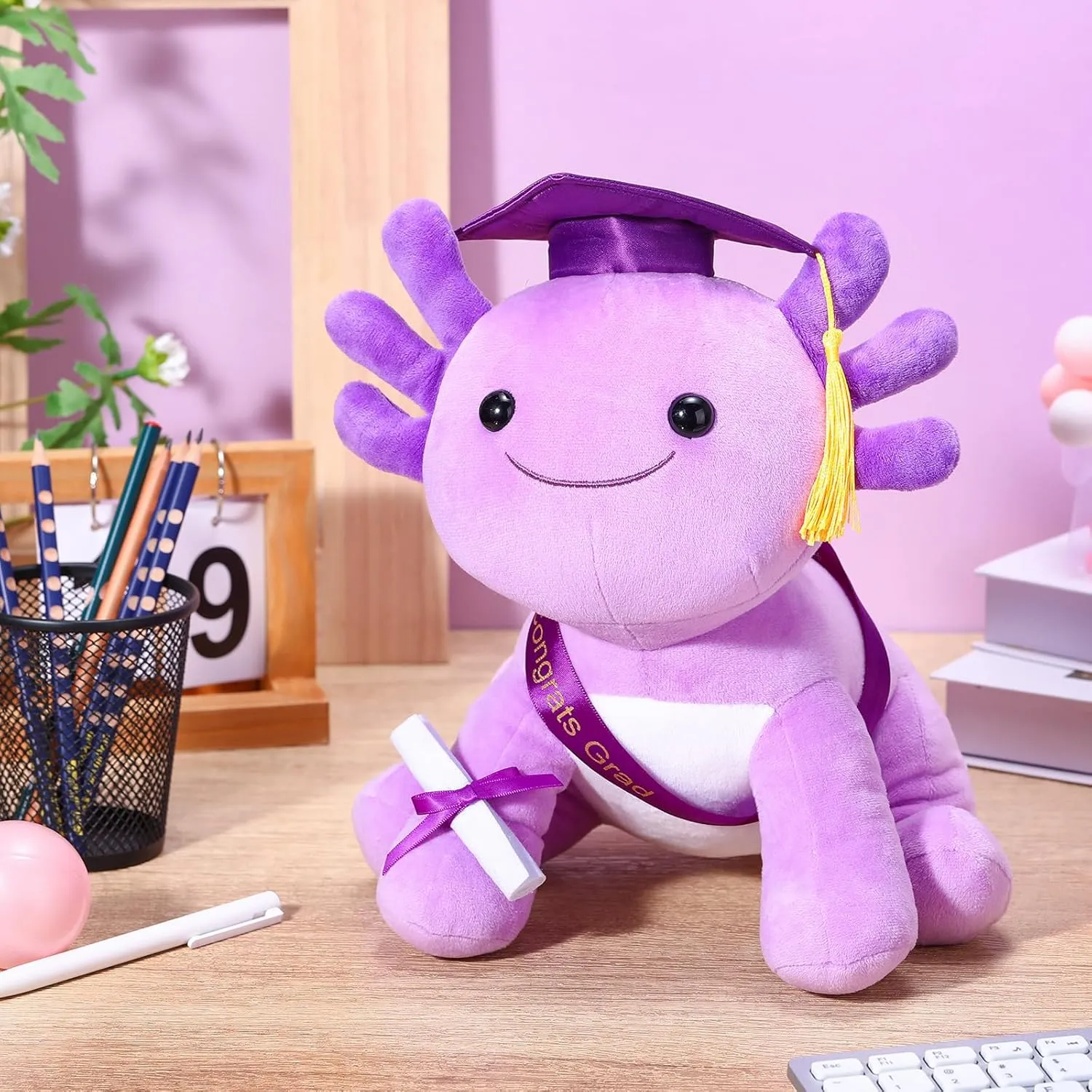 HyDren 10 Inch Graduation Axolotl Plush Stuffed Animal Axolotl Stuffed Animals with Graduation Hat Diploma and Sash, Plush Gift for Preschool, Kindergarten, Friend, Relatives(Purple)