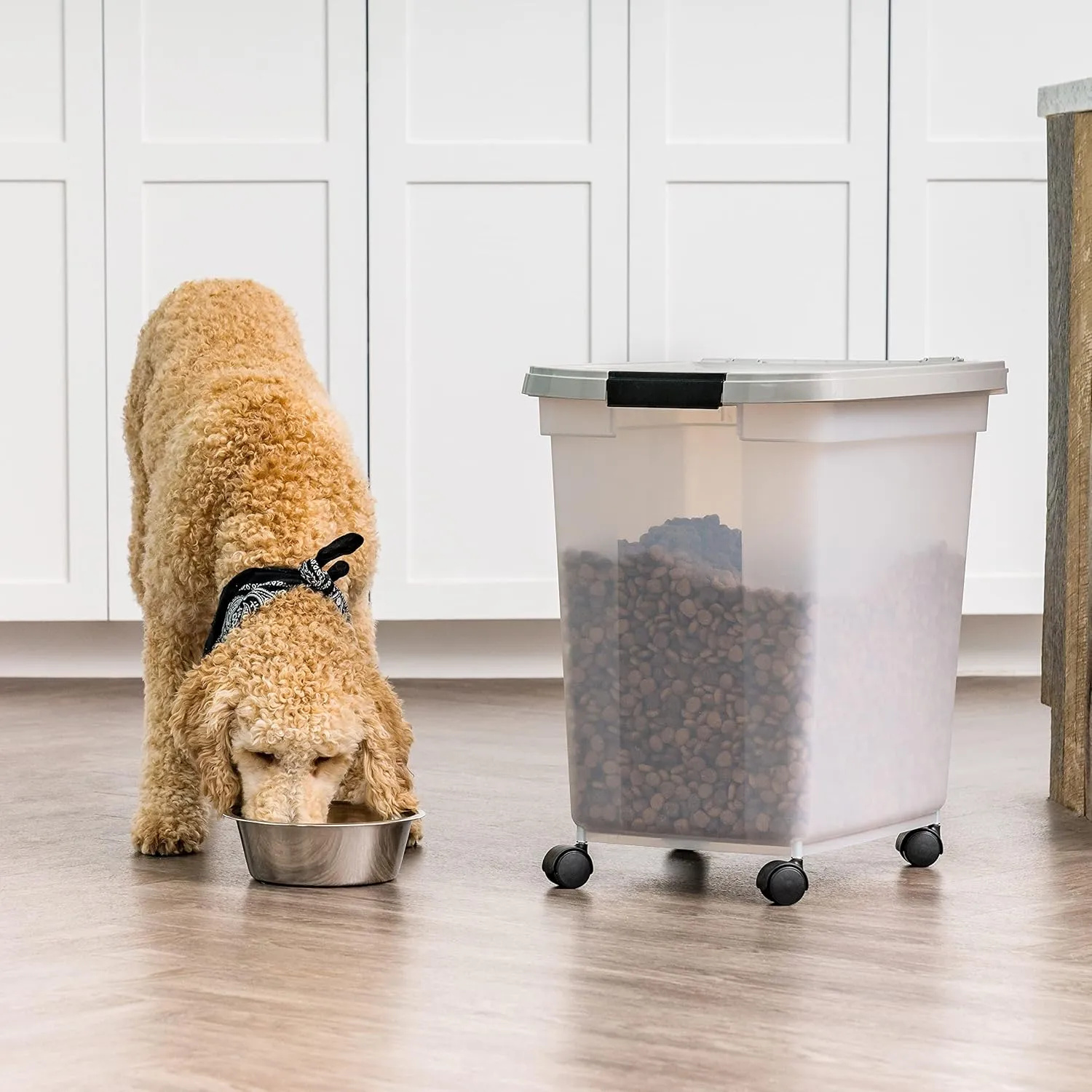 IRIS USA Airtight Dog Food Storage Container, WeatherPro, Up to 50 lbs, Removable Wheels, for Dog Cat Bird and Other Pet Food Storage Bin, Keep Fresh, Translucent Body, Made in USA, Clear/Gray