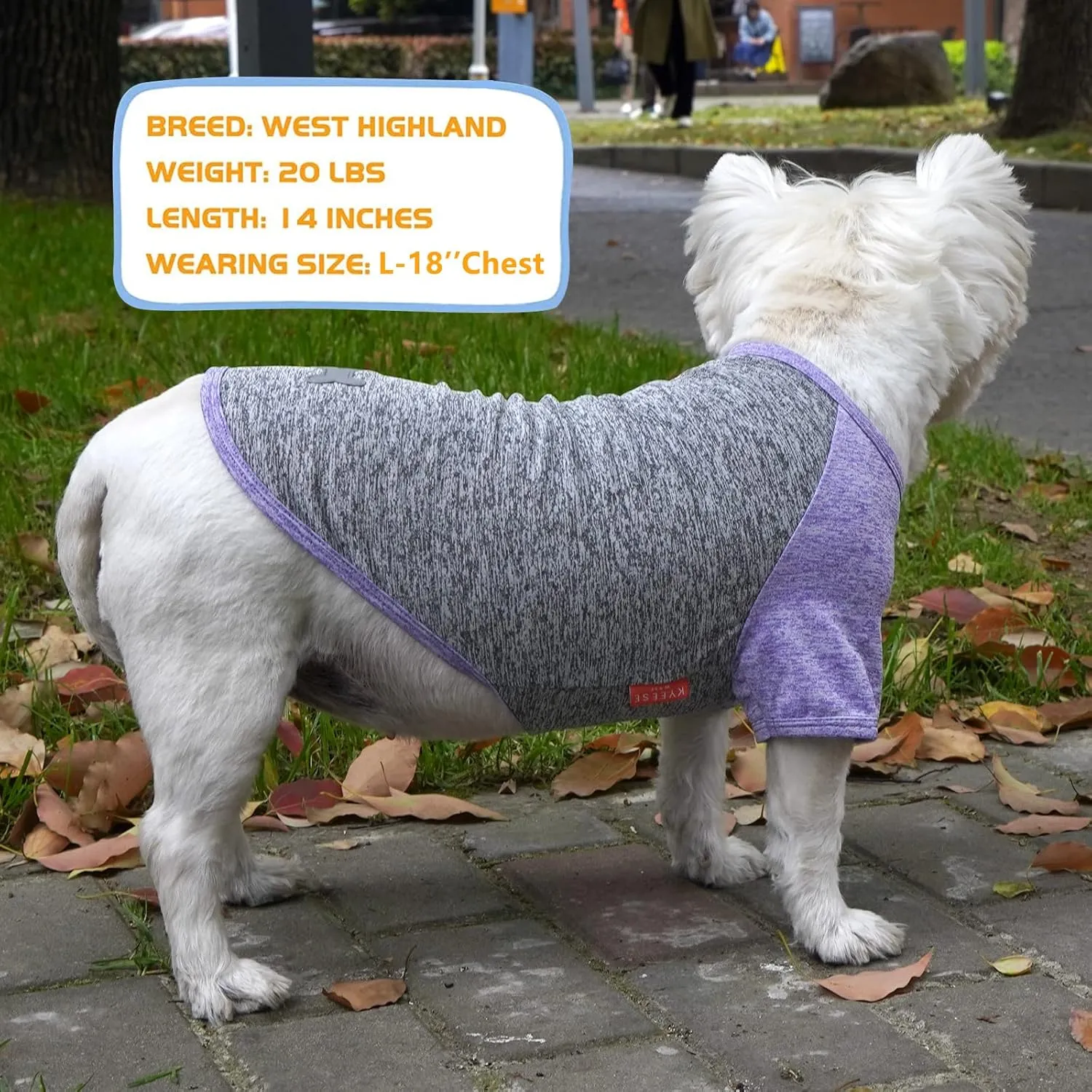 KYEESE 2 Pack Dog Shirts Quick Dry Lightweight Stretchy Dog T-Shirts with Reflective Label Raglan Sleeve Cat Shirts Sun Protection Pet Clothes for Small Dogs, Purple Grey, S