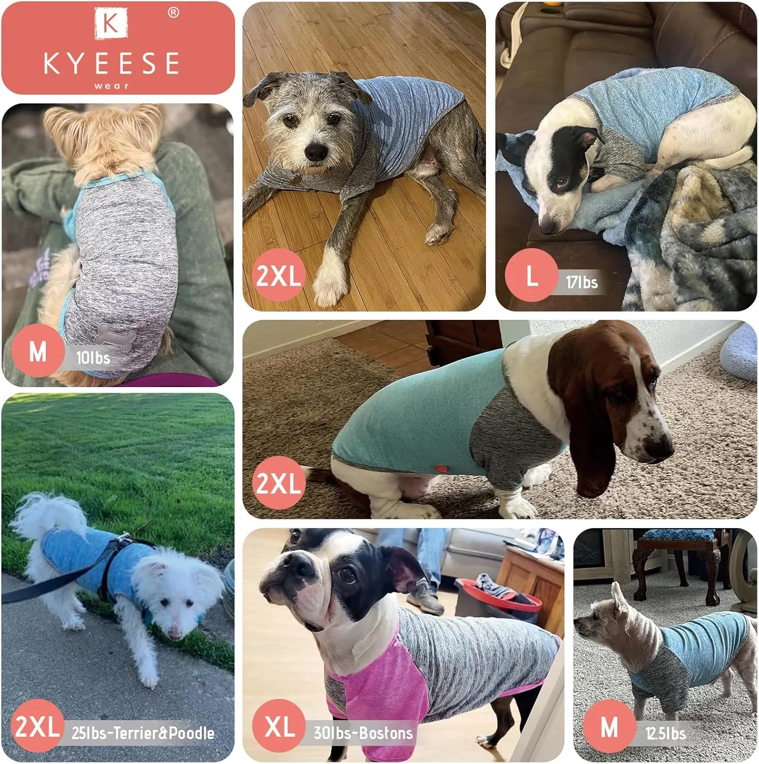 KYEESE 2 Pack Dog Shirts Quick Dry Lightweight Stretchy Dog T-Shirts with Reflective Label Raglan Sleeve Cat Shirts Sun Protection Pet Clothes for Small Dogs, Purple Grey, S