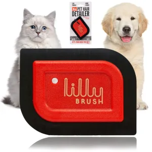 Lilly Brush Mini Pet Hair Detailer | Reusable Fur Remover for Car Interior, Carpet, Couch & Furniture