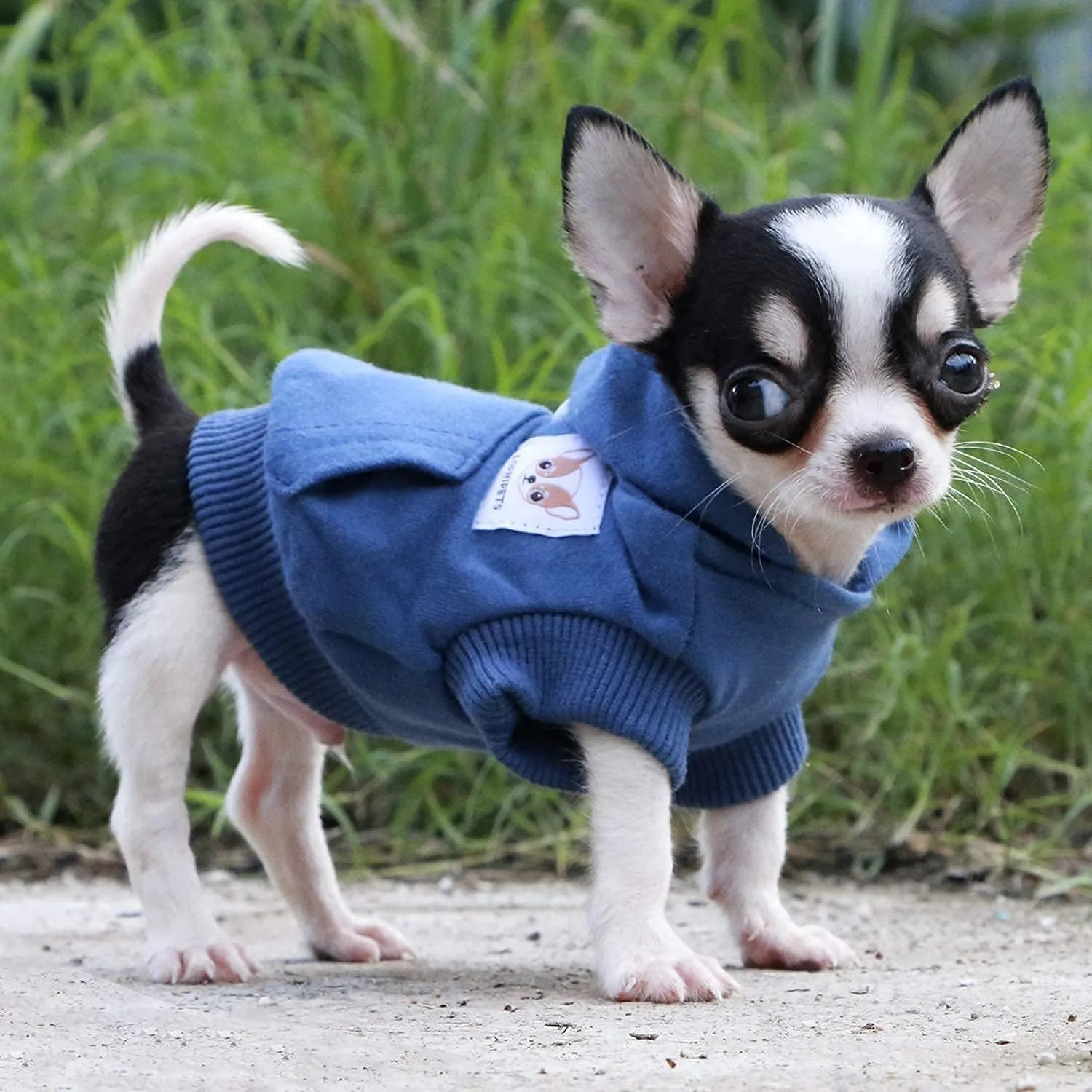 LOPHIPETS Dog Cotton Hoodies Sweatshirts for Small Dogs Chihuahua Puppy Clothes Cold Weather Coat-Navy/XXS