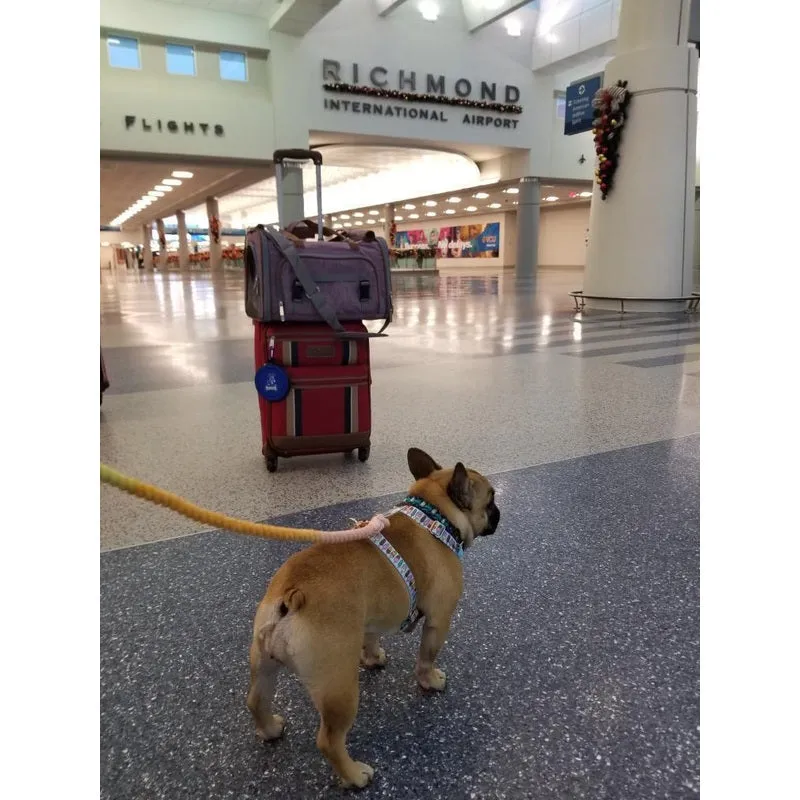 Mr. Peanut's Gold Series Standard Size Airline Compliant Expandable Pet Carrier