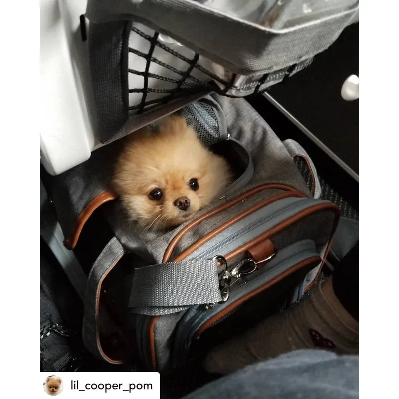 Mr. Peanut's Gold Series Standard Size Airline Compliant Expandable Pet Carrier