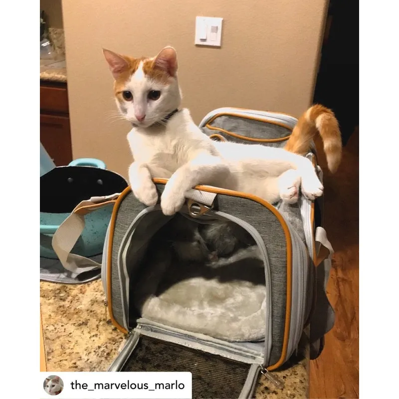 Mr. Peanut's Gold Series Standard Size Airline Compliant Expandable Pet Carrier