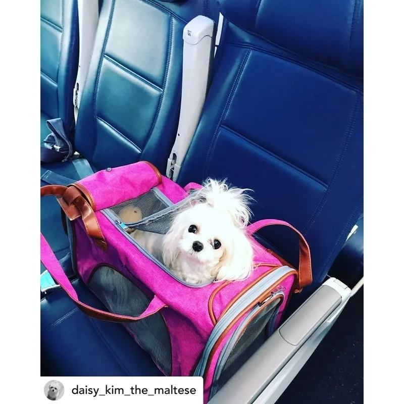 Mr. Peanut's Gold Series Standard Size Airline Compliant Expandable Pet Carrier