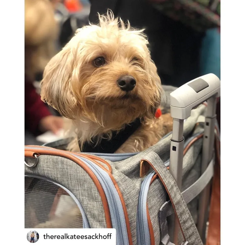 Mr. Peanut's Gold Series Standard Size Airline Compliant Expandable Pet Carrier