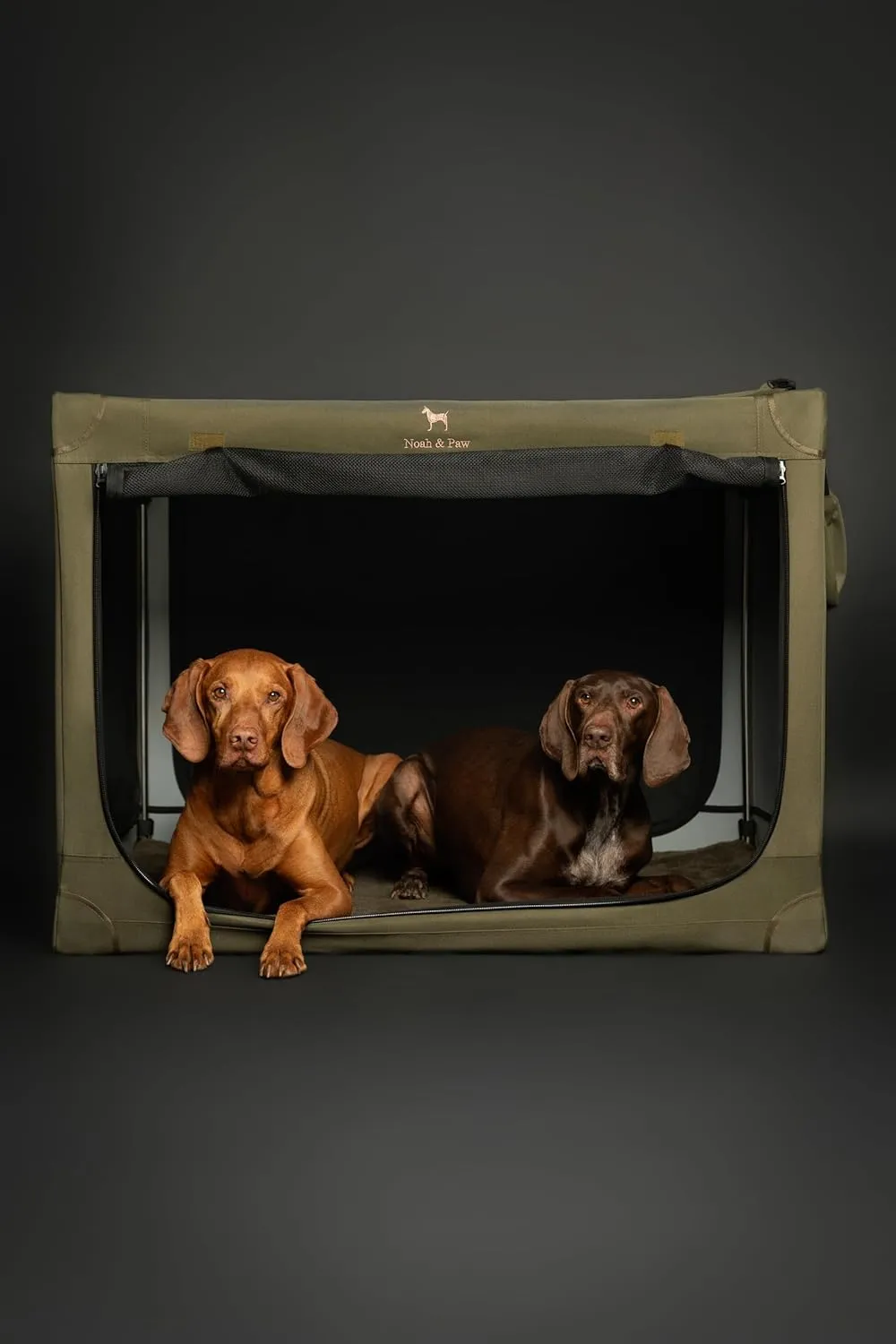 Noah & Paw Collapsible Dog Crate 30 Inches, Large Dog Crate for Large Medium Breeds, Travel Kennel for Car, Including Pet Mat for Pet Cage, 2 Storage Pockets, Handbag, 10mm Locking Zipper 30*21*21