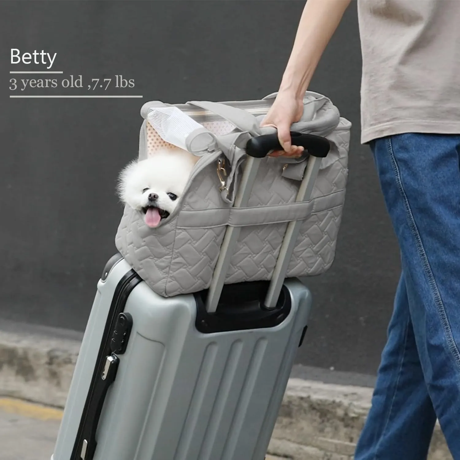 Pet Carrier Bag for Puppy,Grey,Woman Style,Cat Small Dog Carrier Handbag with Multiple Pockets,Breathable Mesh,Soft Cushion,Pets Tote Purse Picnic Travel Outdoor,7-15lbs