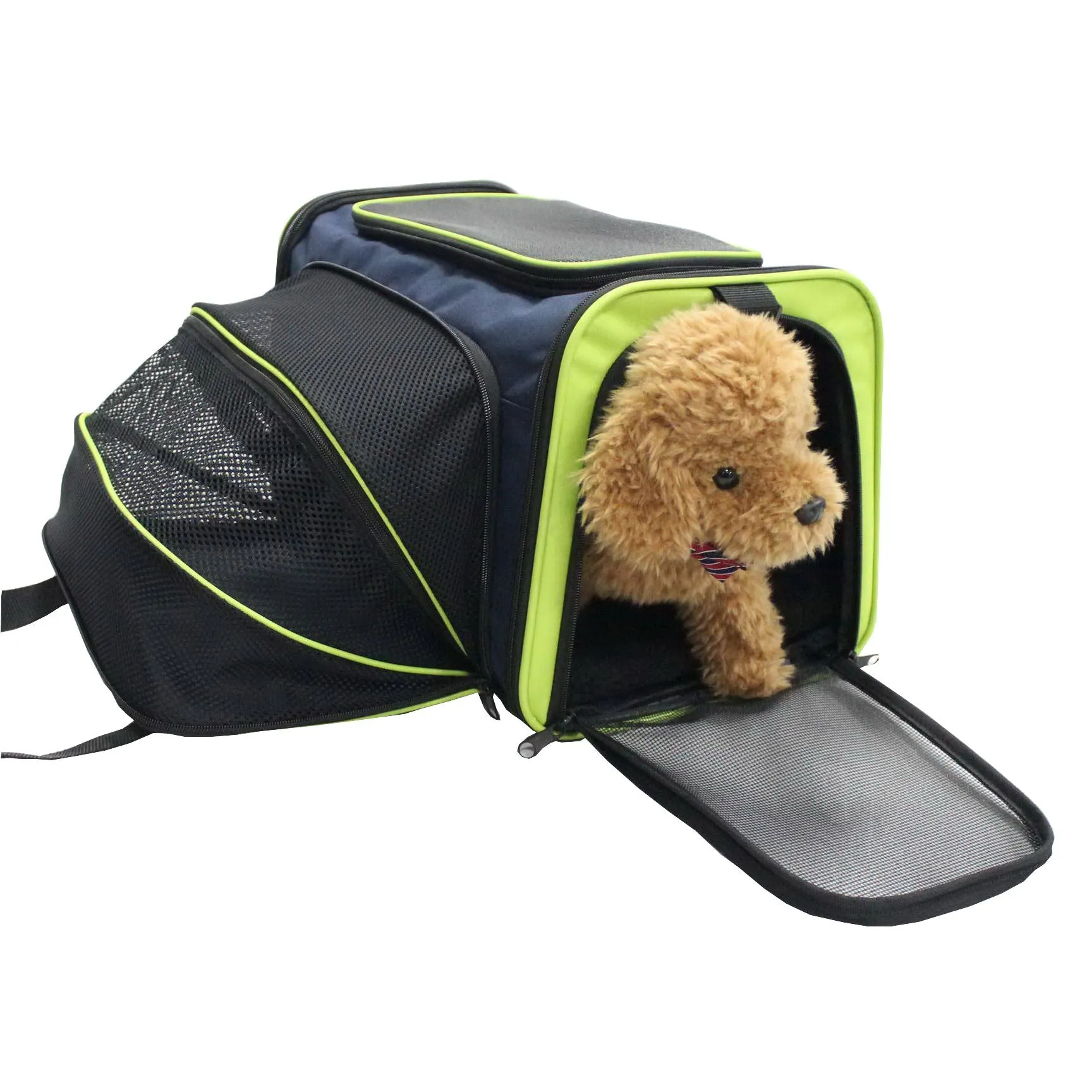 Pet Life Roomeo Folding Collapsible Airline Approved Pet Dog Carrier Crate: Color Blue