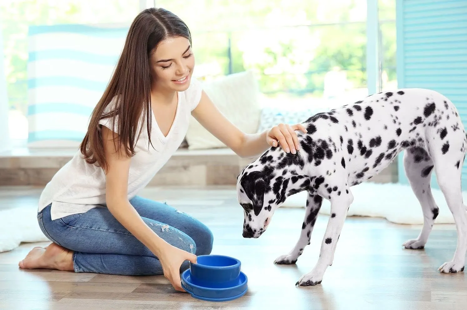 PetLike Ants Away Dog Bowls Pet Food Bowls, No Spill Cat Food Bowl Water Food Feeder Pet Dishes for Cat Puppies Small Medium Dogs…
