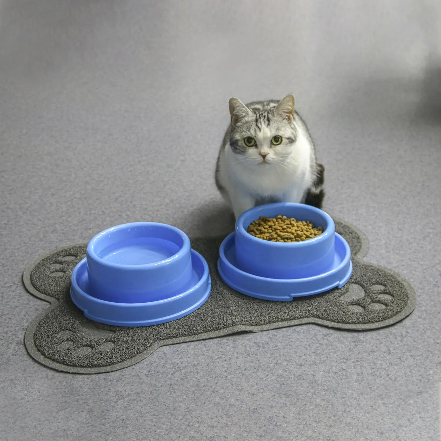 PetLike Ants Away Dog Bowls Pet Food Bowls, No Spill Cat Food Bowl Water Food Feeder Pet Dishes for Cat Puppies Small Medium Dogs…