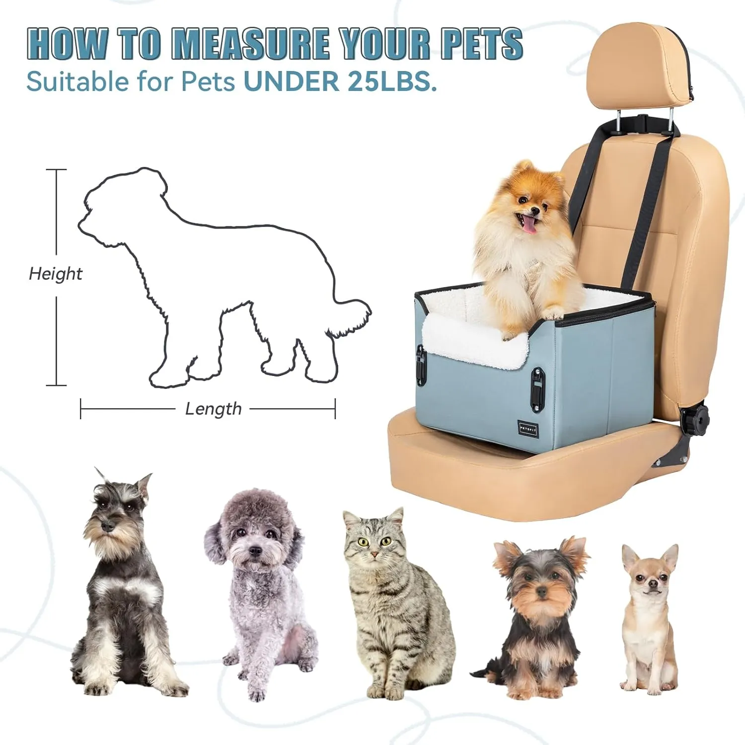 PETSFIT Small Dog Car Seat, Puppy Portable Dog Booster seat for Car with Clip-On Leash, Adjustable Straps Suitable for Small Pets Up to 25lbs (Mint Green)