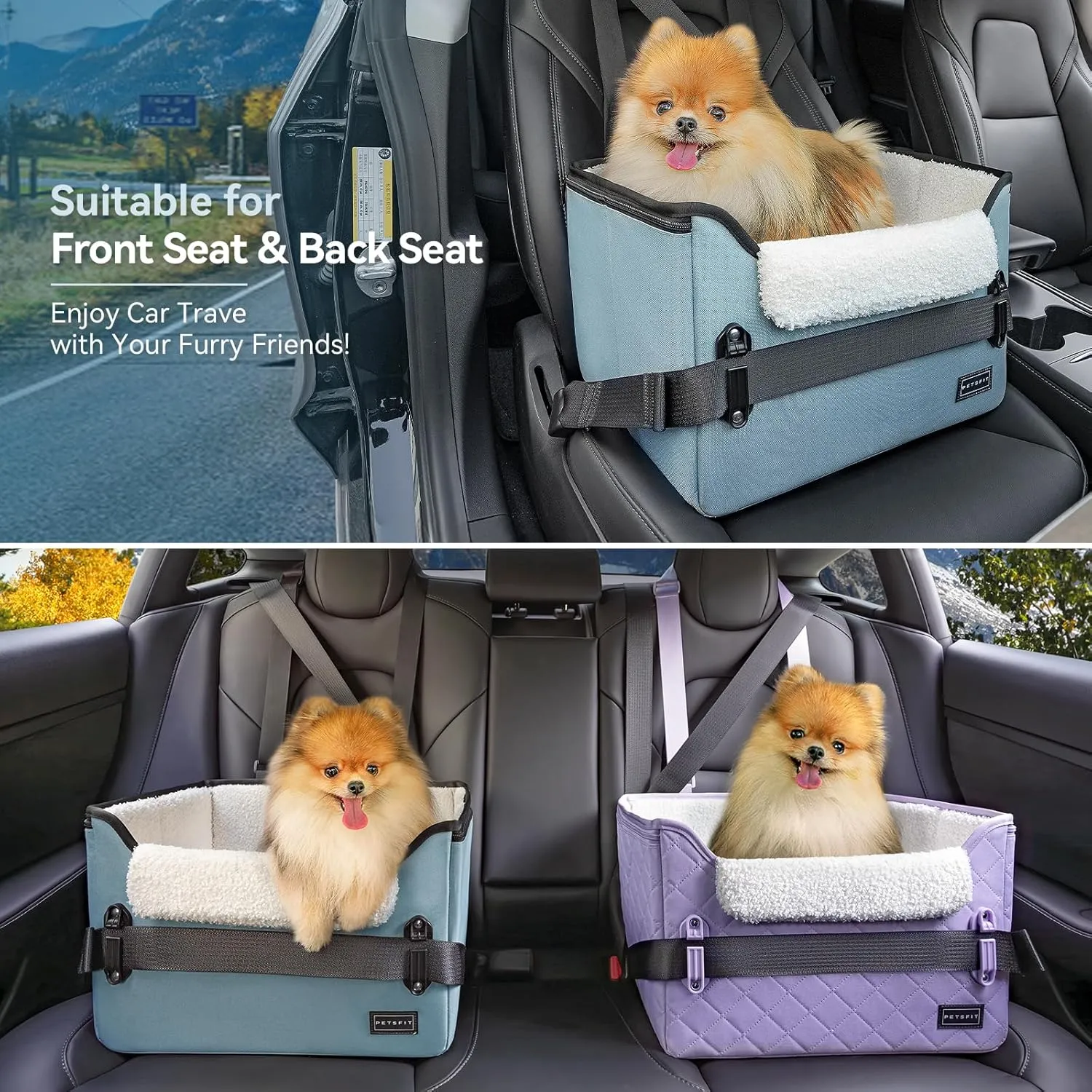 PETSFIT Small Dog Car Seat, Puppy Portable Dog Booster seat for Car with Clip-On Leash, Adjustable Straps Suitable for Small Pets Up to 25lbs (Mint Green)