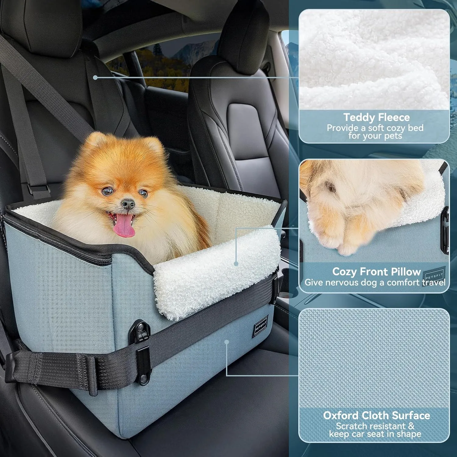 PETSFIT Small Dog Car Seat, Puppy Portable Dog Booster seat for Car with Clip-On Leash, Adjustable Straps Suitable for Small Pets Up to 25lbs (Mint Green)