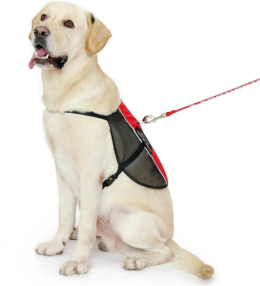 PLUTUS PET Emotional Support Dog Vest with 2 Free Removable Emotional Support Animal Patches, Reflective Lightweight Cool Mesh Dog Vests for Service Dogs,Red L,Girth 26.7-31.5"