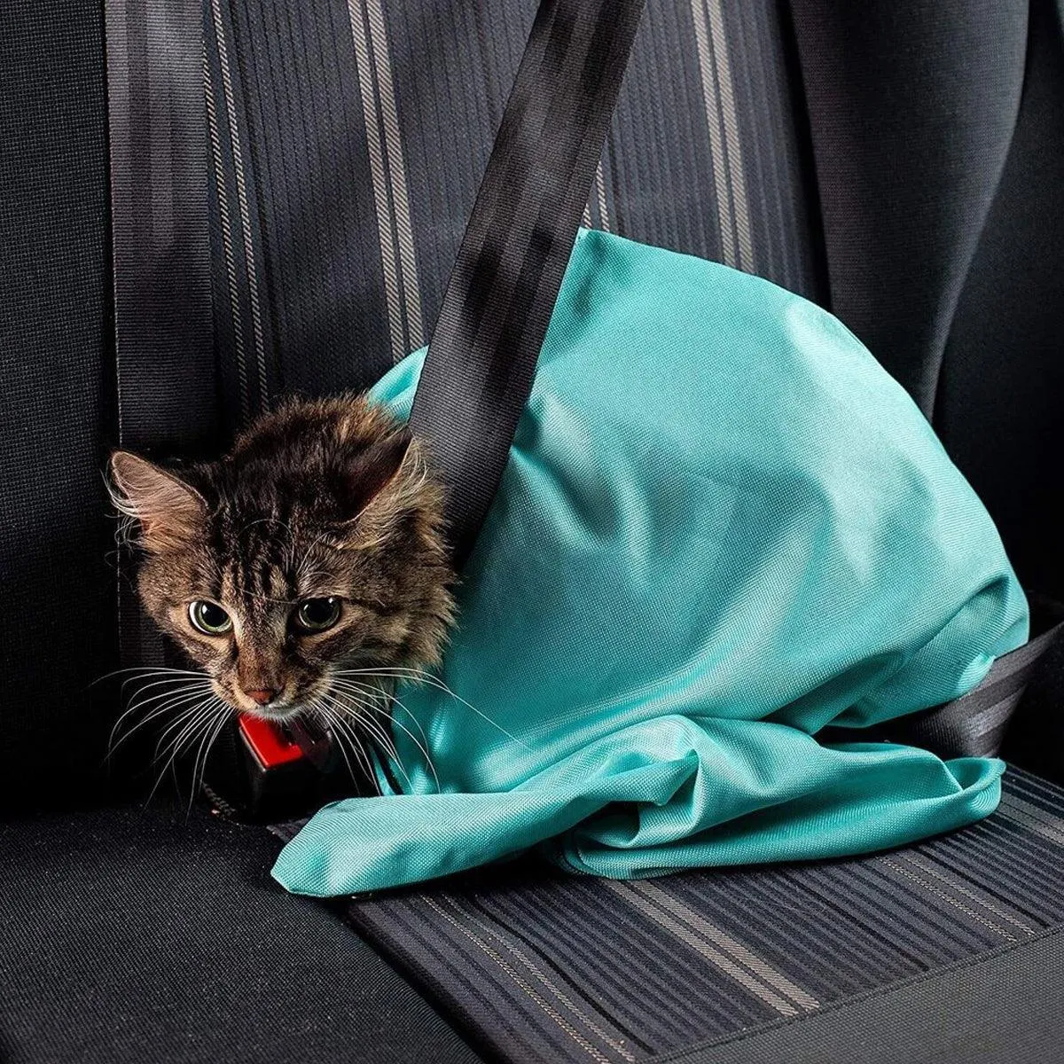 Portable Pet Shoulder Tote Bag for Cats and Small Dogs Outdoor Travel Carrier
