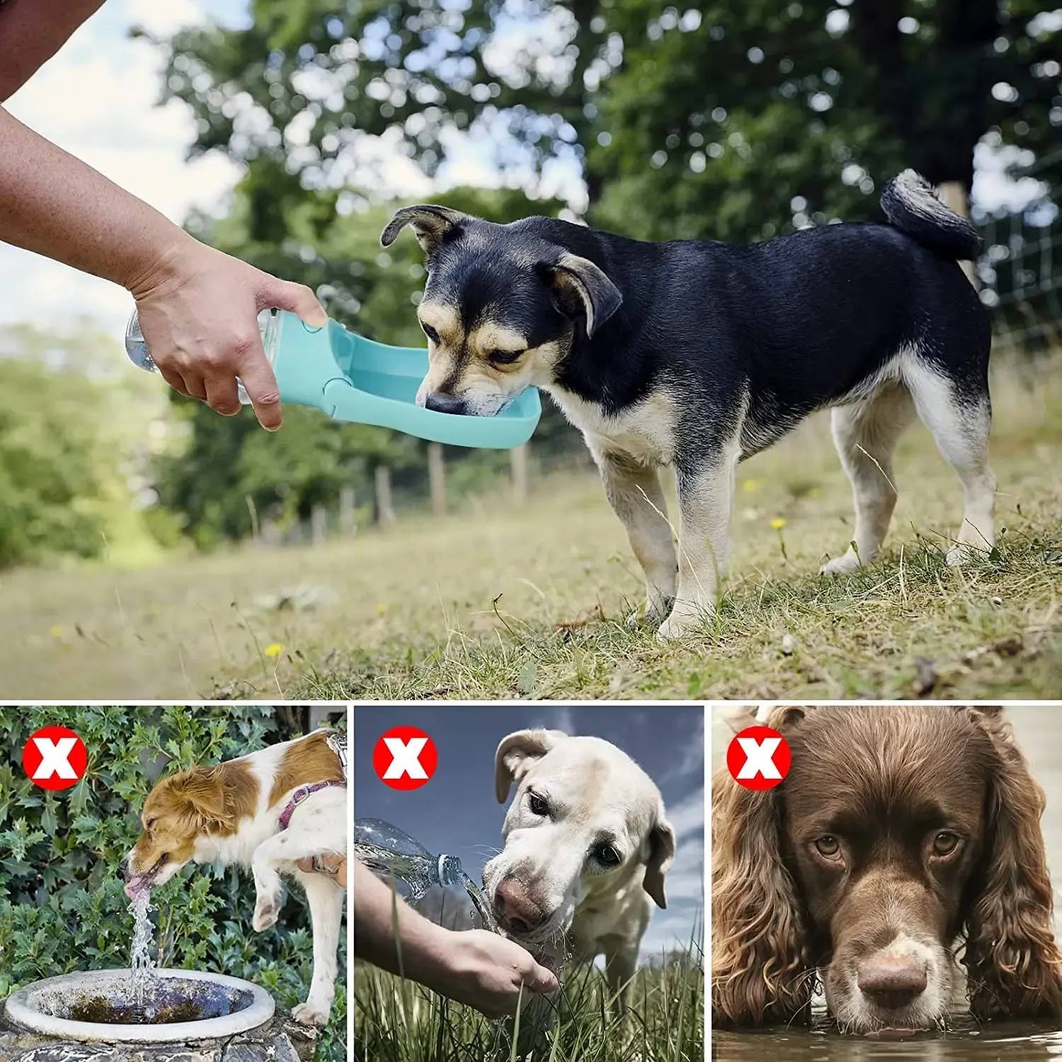 Portable Pet Travel Bottle