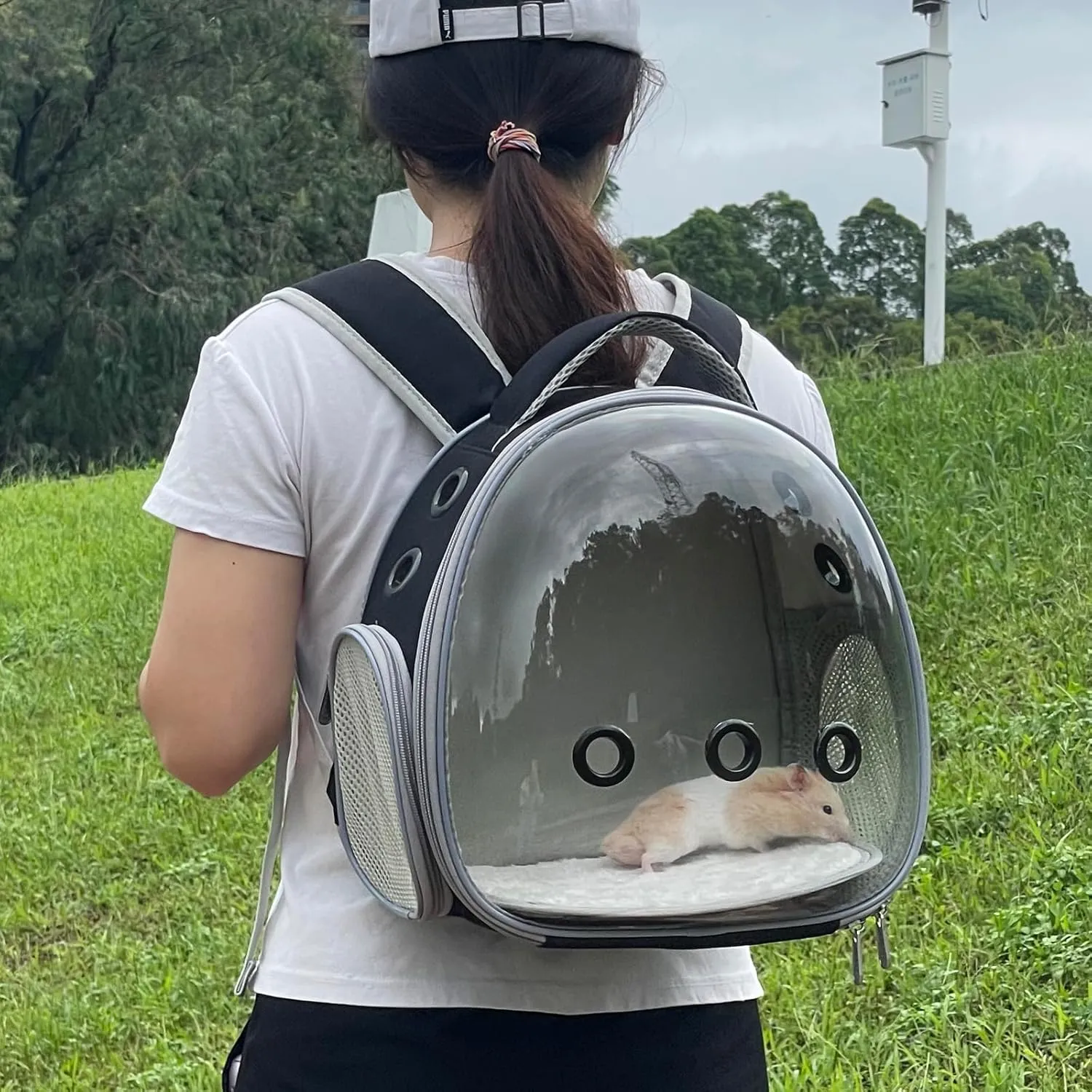 Portable Travel pet Backpack Carrier Hamster Bag Guinea Pig Bird Small Dog cat Backpack Turtle Carrier Rabbit Cage Rabbit Guinea Pig Squirrel Bearded Dragon Breathable Hangbag (Black)
