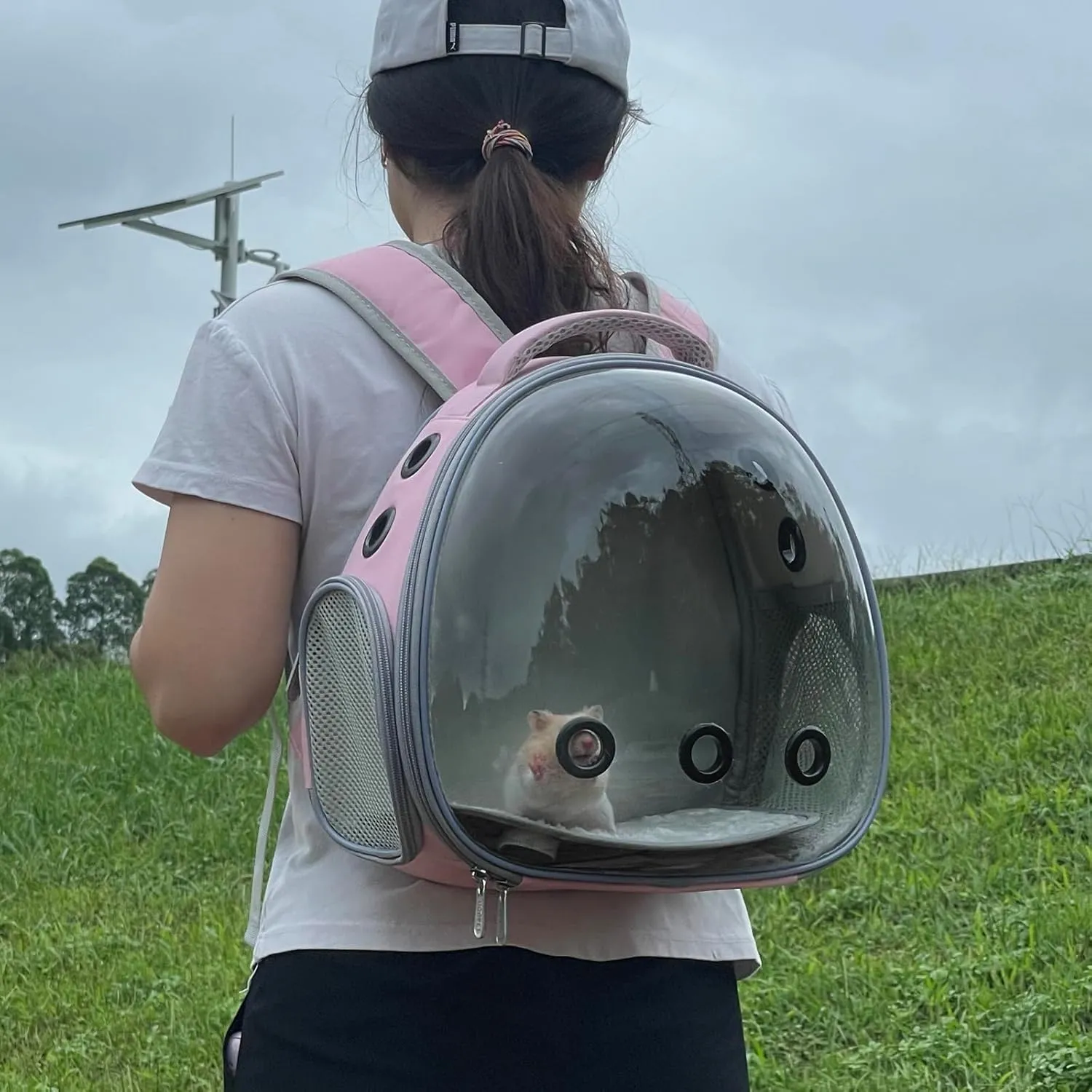 Portable Travel pet Backpack Carrier Hamster Bag Guinea Pig Bird Small Dog cat Backpack Turtle Carrier Rabbit Cage Rabbit Guinea Pig Squirrel Bearded Dragon Breathable Hangbag (Pink)