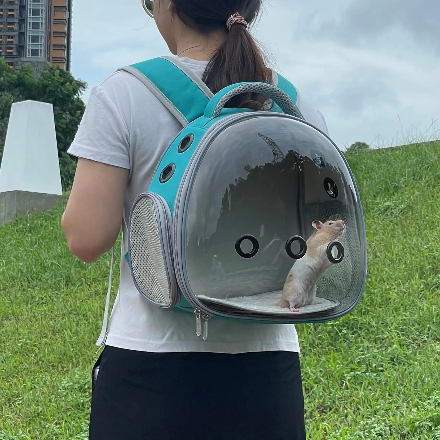 Portable Travel pet Backpack Carrier Hamster Bag Guinea Pig Bird Small Dog cat Turtle Rabbit Cage Rabbit Guinea Pig Squirrel Bearded Dragon Breathable Hangbag(Green)