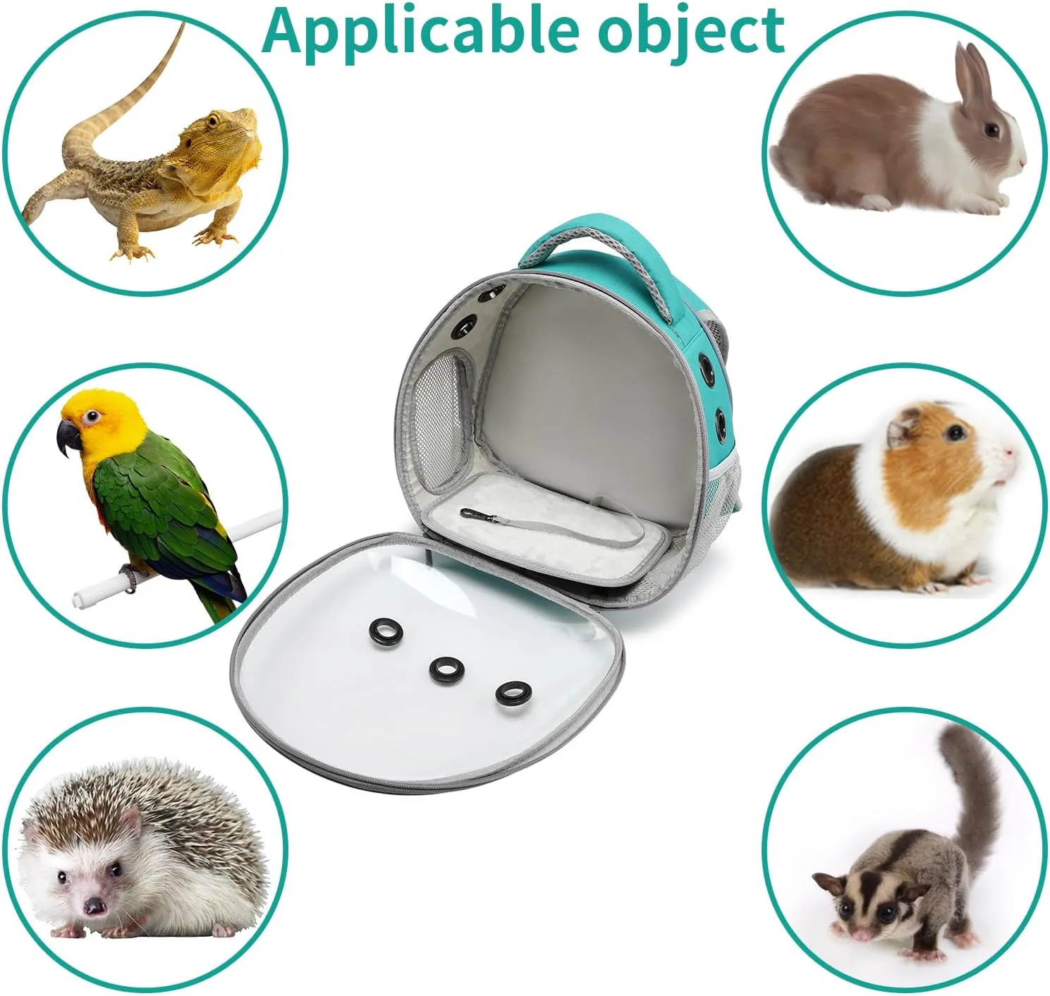 Portable Travel pet Backpack Carrier Hamster Bag Guinea Pig Bird Small Dog cat Turtle Rabbit Cage Rabbit Guinea Pig Squirrel Bearded Dragon Breathable Hangbag(Green)