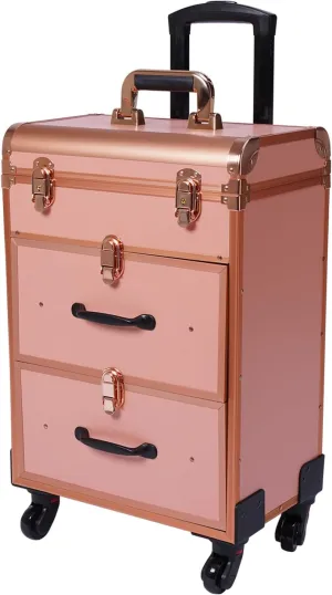 Professional Rolling Makeup Train Case, Aluminum Large Storage Cosmetic Trolley Makeup Travel Case, Salon Barber Case Traveling Cart Trunk Organizer Gold