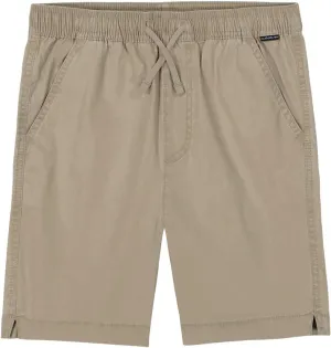 Quiksilver Boys' Taxer Short (Big Kids)