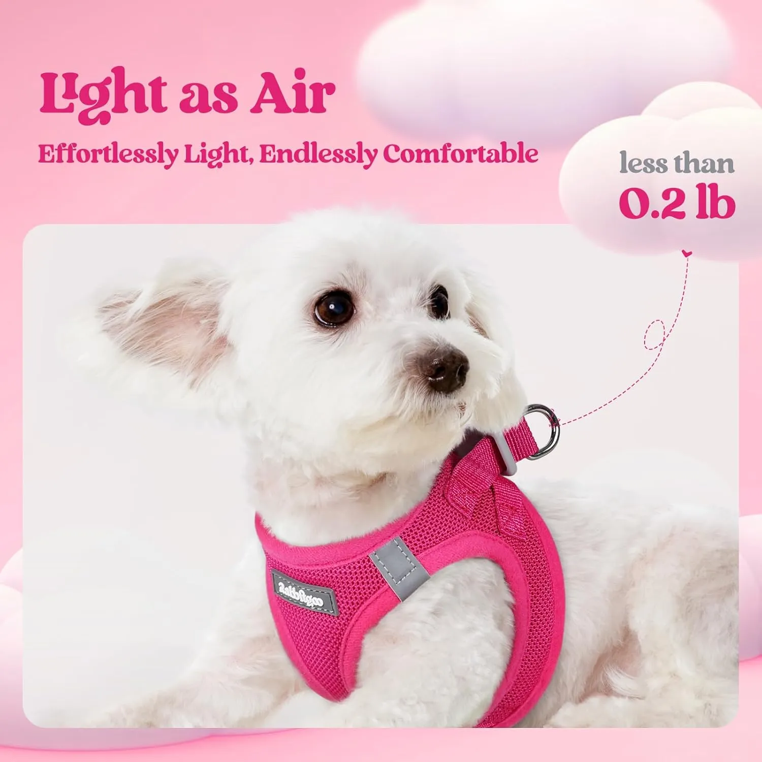 rabbitgoo Dog Harness Small Sized and Leash Set, Step in Soft Light Puppy Vest, Breathable Mesh Pet Harness, Reflective for Safe Easy Walking, Rose Red S