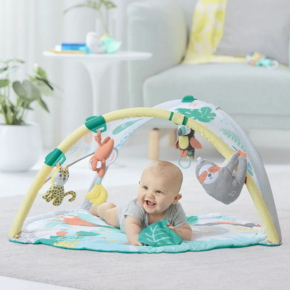 Skip Hop Tropical Paradise Activity Gym