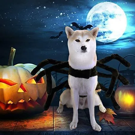 Spider Costume for Dogs and Cats，Halloween Party Dress Up